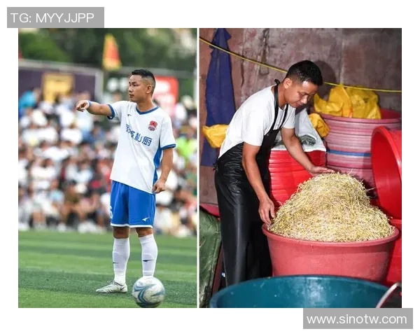 足球明星菠萝坎普的传奇人生与赛场背后的故事揭秘