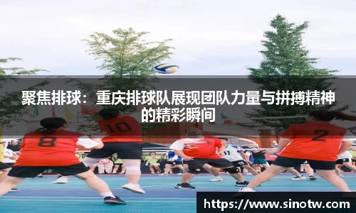 聚焦排球：重庆排球队展现团队力量与拼搏精神的精彩瞬间