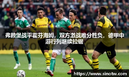 弗赖堡战平霍芬海姆，双方激战难分胜负，德甲中游行列继续拉锯