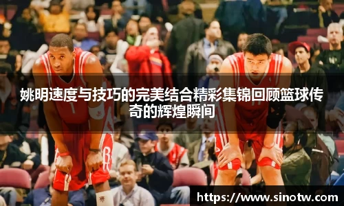 姚明速度与技巧的完美结合精彩集锦回顾篮球传奇的辉煌瞬间