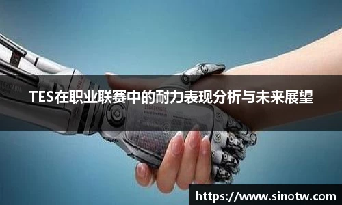 TES在职业联赛中的耐力表现分析与未来展望