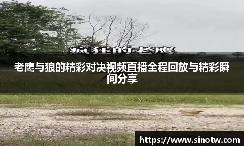 老鹰与狼的精彩对决视频直播全程回放与精彩瞬间分享