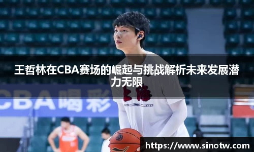 王哲林在CBA赛场的崛起与挑战解析未来发展潜力无限