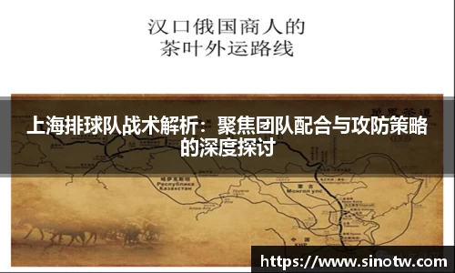 上海排球队战术解析：聚焦团队配合与攻防策略的深度探讨
